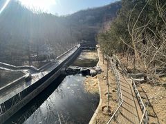 -白水寺森林公园