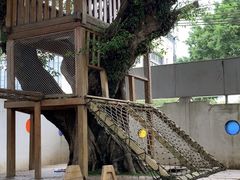 -三溪村