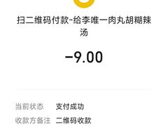 -清真李唯一优质肉丸糊辣汤