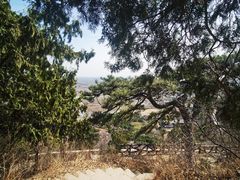 -北京西山国家森林公园