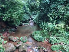景点-赤水丹霞旅游区·佛光岩