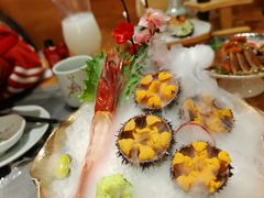 活海胆刺身-鮨桐日本料理(望京店)