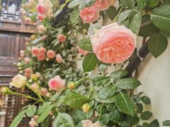 -惠山古镇·寄畅园