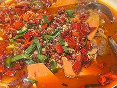 -四姐妹东北饺子(沙尾路店)