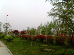 -河南财经政法大学(郑东校区)