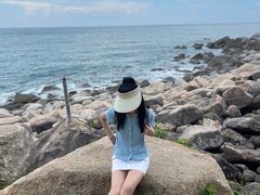 -广东惠东海龟国家级自然保护区