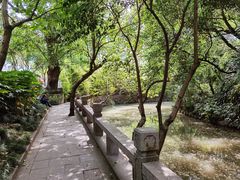 -汇龙潭