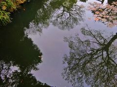 -耦园