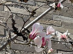 -东华门大街小区