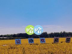 -广富林郊野公园