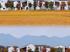 -东梓关景区村庄