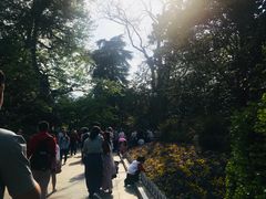 -西湖外事游船(花港观鱼码头)