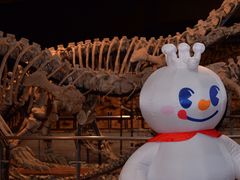 -世界恐龙谷景区