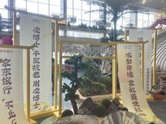 -温都水城·水梦奇缘