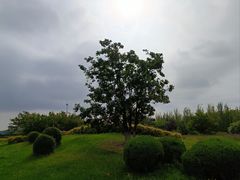 -莫子山公园