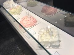 -BLACKSWAN黑天鹅(环球店)