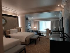 -澳门威尼斯人综合度假区