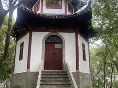 -上海佘山国家森林公园天马山园