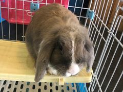 -呼吸森林·生态农庄农家乐私房菜