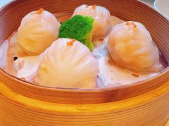-道海元·潮粤汇 (前滩店)