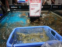 -盒马鲜生(曜一城店)