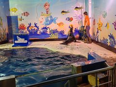 -太平洋海底世界