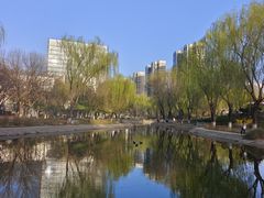 -丰台科技园生态主题公园