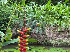 -中国科学院西双版纳热带植物园