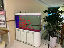 -成都军建医院·疤痕诊疗中心