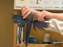 -镹·鱼料理  国产鱼使用店