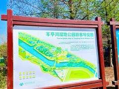 -羊亭河湿地公园