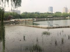 -莲花池公园