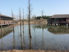 -泗洪洪泽湖湿地景区