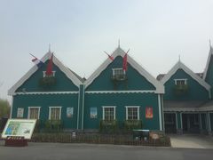 -荷兰花海