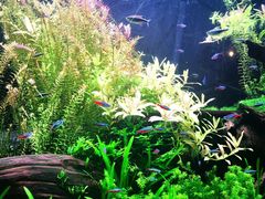 -上海海洋水族馆