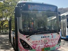 -高东镇樱花园