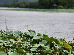 -湘湖大院(越王路店)