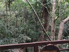 -七仙岭温泉国家森林公园