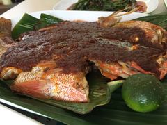 -纽顿熟食中心