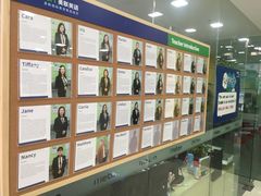 -美联英语(绿宝中心)