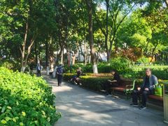 -常州古运河南大街文化旅游区-人民公园