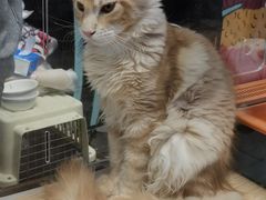 -中粮·祥云小镇