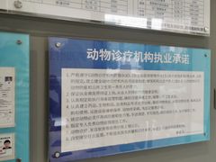 -关爱宠物医院·猫科中心·消化科(滨湖万达分院)