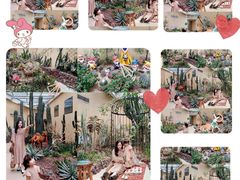 -正佳雨林生态植物园
