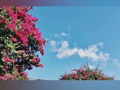 -和顺古镇