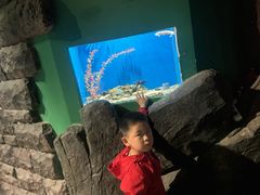 -聊城海底世界
