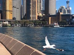 -悉尼海港大桥