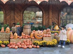 -郑州方特梦幻王国