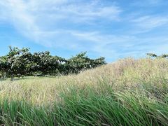 -海南鉴湖蓝湾高尔夫球会