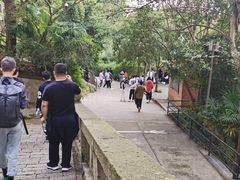 -上海佘山国家森林公园西佘山园